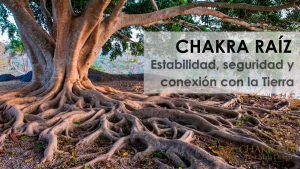 chakra raiz