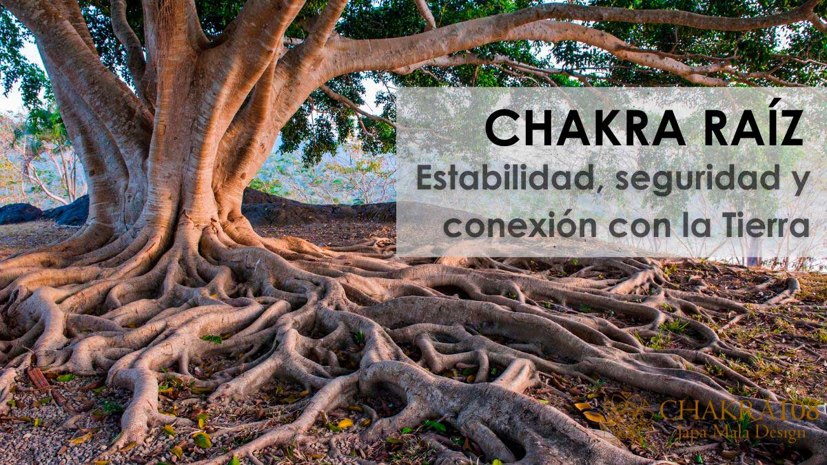 chakra raiz